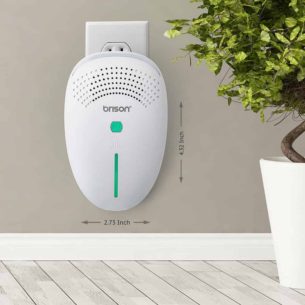 BRISON Ultrasonic Pest Repeller Review - Outdoor Overnights